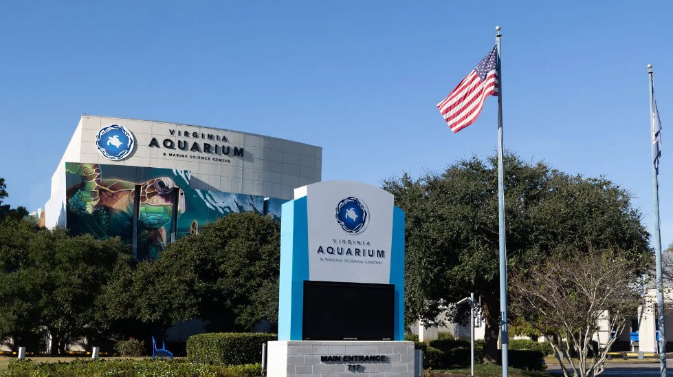 Virginia Aquarium and Marine Science Center, Virginia, USA